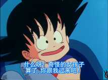 七龙珠TV(1986) [辽艺配音。国语中字1080P]153集 每集1G左右 154G