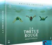 [百度云][法国][2016][红海龟 La tortue rouge][动画/奇幻][无对白无字幕][MKV-3.07GB][1080P-TYZH]